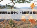 合肥滨湖国际会展中心（合肥滨湖国际会展中心图片）