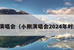 小刚演唱会（小刚演唱会2024年时间表）