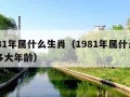 1981年属什么生肖（1981年属什么生肖多大年龄）