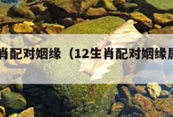 12生肖配对姻缘（12生肖配对姻缘属狗的）