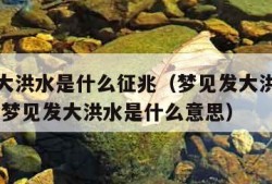 梦见发大洪水是什么征兆（梦见发大洪水是什么征兆 梦见发大洪水是什么意思）