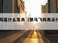 策马飞舆是什么生肖（策马飞舆表示什么生肖）