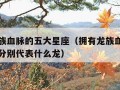 拥有龙族血脉的五大星座（拥有龙族血脉的五大星座分别代表什么龙）