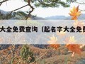 起名字大全免费查询（起名字大全免费查询2021）