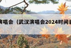 武汉演唱会（武汉演唱会2024时间表最新）