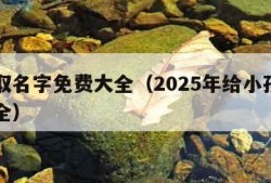 小孩取名字免费大全（2025年给小孩取名字大全）