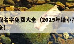 小孩取名字免费大全（2025年给小孩取名字大全）