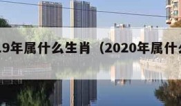 2019年属什么生肖（2020年属什么生肖）