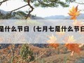 七月七是什么节日（七月七是什么节日人们做什么）