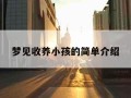 梦见收养小孩的简单介绍