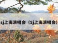 sj上海演唱会（Sj上海演唱会）