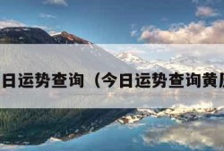 今日运势查询（今日运势查询黄历）