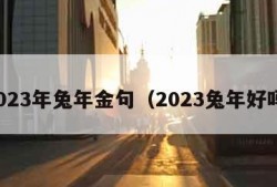 2023年兔年金句（2023兔年好吗）