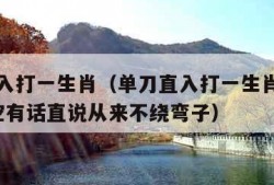 单刀直入打一生肖（单刀直入打一生肖是猴吗?孙悟空有话直说从来不绕弯子）