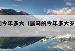 属马的今年多大（属马的今年多大岁数2025）