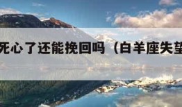 白羊座死心了还能挽回吗（白羊座失望死心的表现）