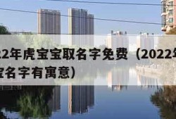 2022年虎宝宝取名字免费（2022年虎宝宝名字有寓意）