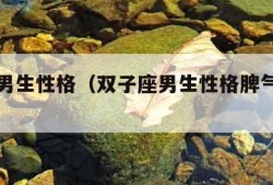 双子座男生性格（双子座男生性格脾气特点和缺点）