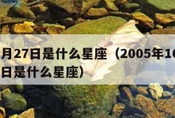 10月27日是什么星座（2005年10月27日是什么星座）