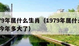 1979年属什么生肖（1979年属什么生肖 今年多大了）