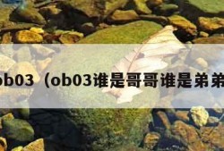 ob03（ob03谁是哥哥谁是弟弟）