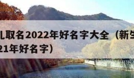 新生儿取名2022年好名字大全（新生儿取名2021年好名字）