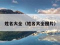 姓名大全（姓名大全图片）