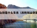 兵败如山倒是什么生肖（兵败如山倒是什么动物）