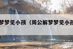 周公解梦梦见小孩（周公解梦梦见小孩掉水里）