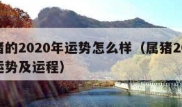 属猪的2020年运势怎么样（属猪2020年运势及运程）