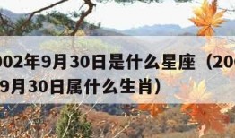 2002年9月30日是什么星座（2002年9月30日属什么生肖）