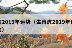 属虎2019年运势（生肖虎2019年运势大全）