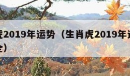 属虎2019年运势（生肖虎2019年运势大全）