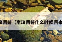 李玟国籍（李玟国籍什么时候回来的）