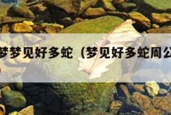 周公解梦梦见好多蛇（梦见好多蛇周公解梦大全查询）