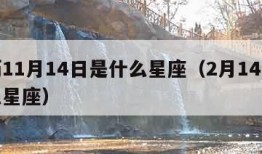 农历11月14日是什么星座（2月14号是什么星座）