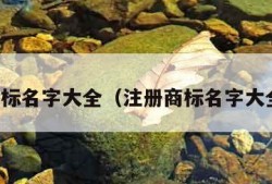 商标名字大全（注册商标名字大全）