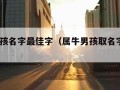 属牛男孩名字最佳字（属牛男孩取名字大全2021）