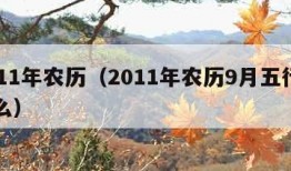 2011年农历（2011年农历9月五行属什么）