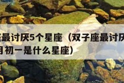 双子座最讨厌5个星座（双子座最讨厌5个星座,九月初一是什么星座）