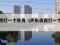 声东击西打一个生肖（声东击西打一个生肖最佳答案）