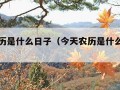 今天农历是什么日子（今天农历是什么日子查询）