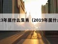 2023年属什么生肖（2019年属什么生肖）