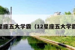 12星座五大学霸（12星座五大学霸男）