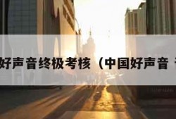 中国好声音终极考核（中国好声音 晋级）