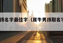 属牛男孩名字最佳字（属牛男孩取名字大全2021）