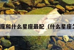 什么星座和什么星座最配（什么星座怎么查）