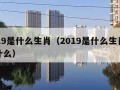 2019是什么生肖（2019是什么生肖是属什么）