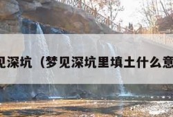 梦见深坑（梦见深坑里填土什么意思）