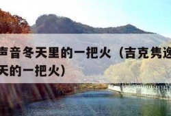 中国好声音冬天里的一把火（吉克隽逸中国好声音冬天的一把火）